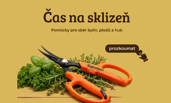 Sklizeň