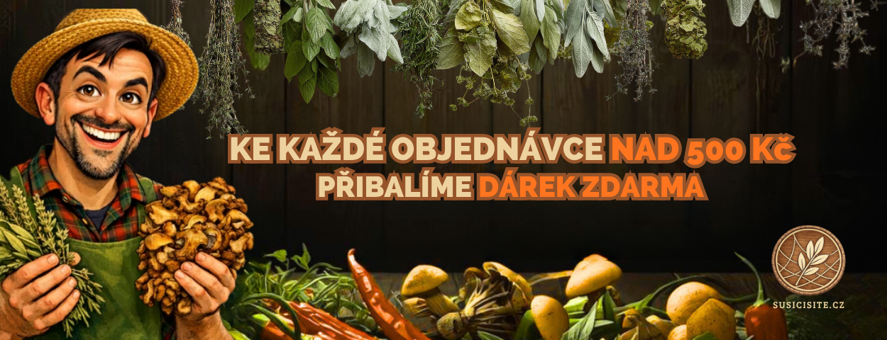 1250x480px