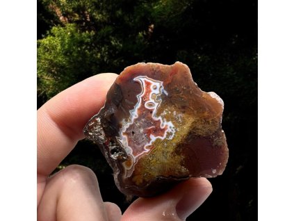 Photoroom 20250304 152029