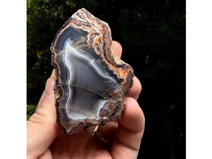 Photoroom 20250304 152936