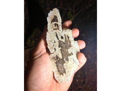 Photoroom 20260106 194026