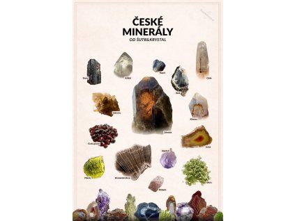 Photoroom 20260205 125811