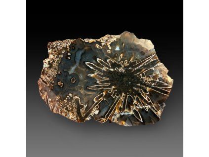 Photoroom 20260224 063808