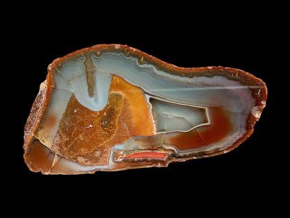 Photoroom 20260224 095101