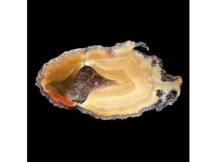 Photoroom 20260224 095336