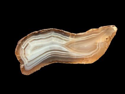 Photoroom 20260224 112152