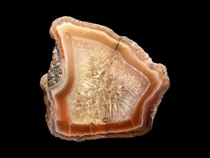 Photoroom 20260224 100145