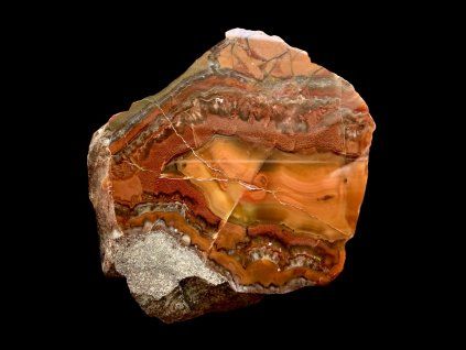 Photoroom 20260224 125531