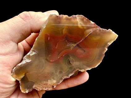 Photoroom 20260224 125313