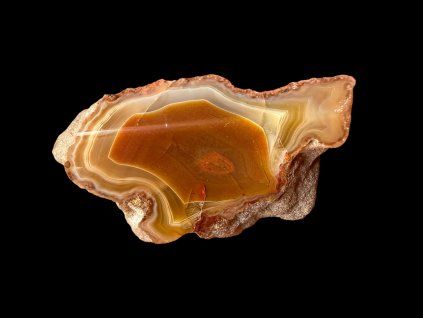 Photoroom 20260224 112741