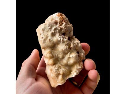 Photoroom 20260226 092725