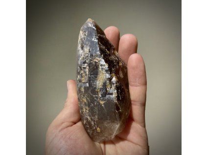 Photoroom 20260226 074925