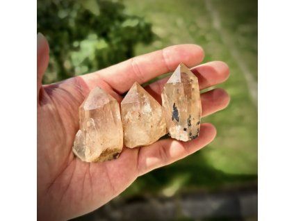 Photoroom 20260226 095119