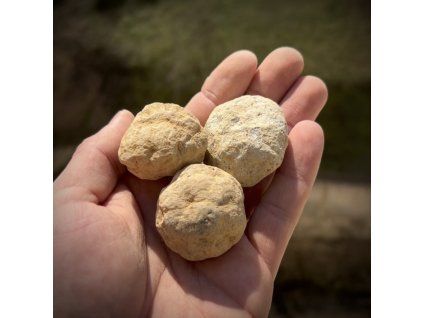 Photoroom 20260226 121024