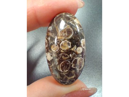 achát turritella minerál držený v prstech detail