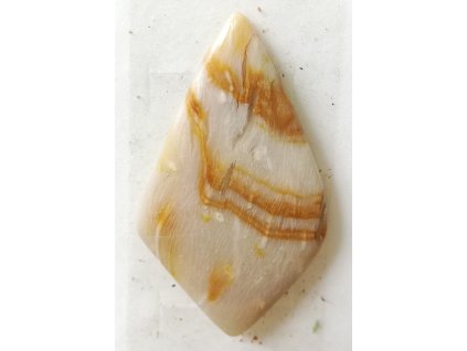 fosilní dřevo 0029