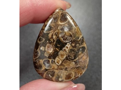 achát turritella minerál držený v prstech detail