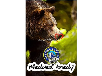 Medveď 4
