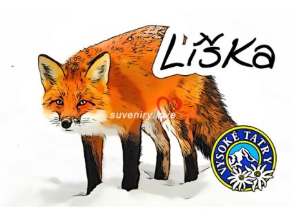 Líška 1