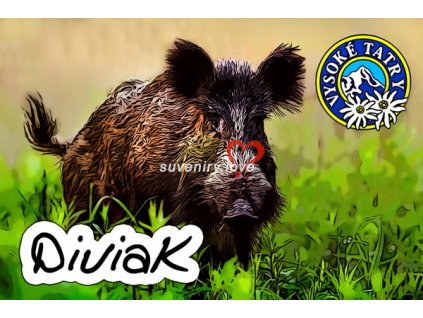 Diviak 1