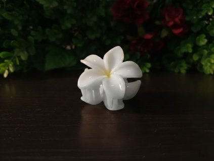 kvetinovy-stipec-nevesta-biela