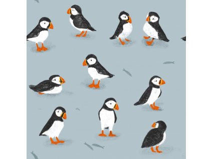 Softshell - Papuchalky | Švadlenka Madlenka