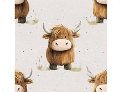 Softshell - Hugo | Švadlenka Madlenka