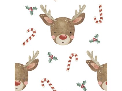 Snímek obrazovky 2025 10 19 v 19.19.05