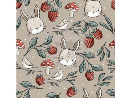 Teplákovina – Zajíček v maliní 🍓🐰 | Švadlenka Madlenka