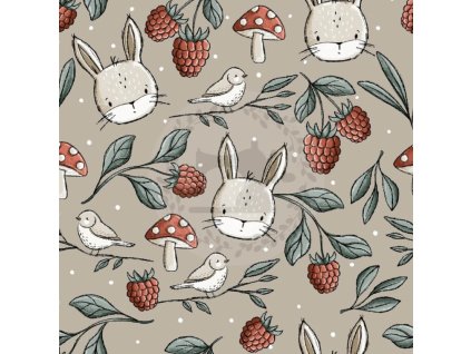 Snímek obrazovky 2025 12 11 v 15.02.46