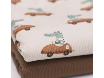 Snímek obrazovky 2026 01 10 v 17.11.19