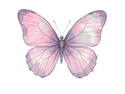 Nažehlovačka Motýlek