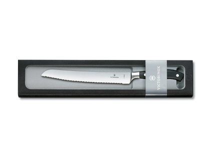 image 2026 02 01 081722746