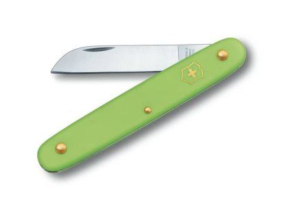 image 2026 03 16 210616148