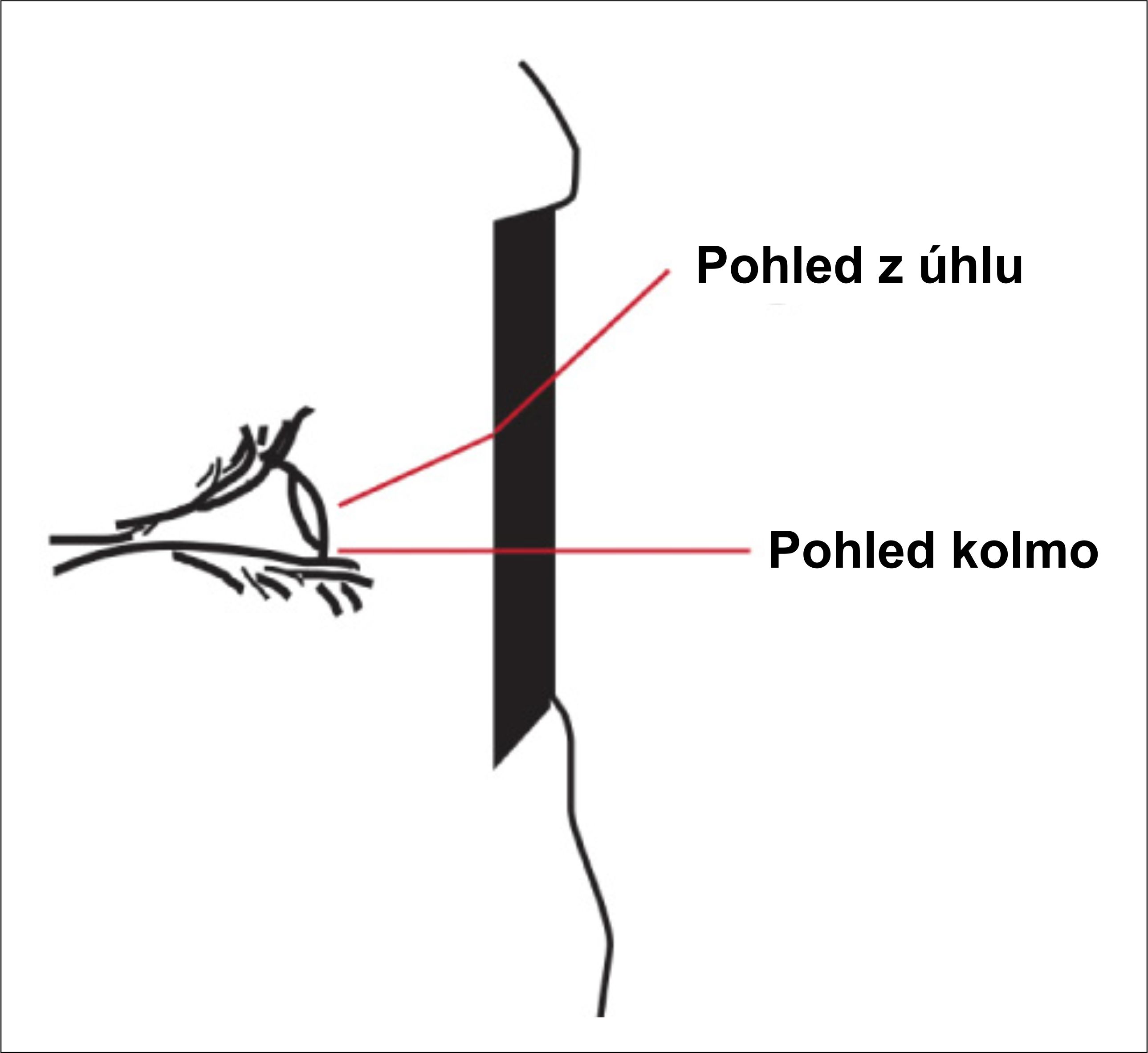 Třída úhlové závislosti propustnosti světla a její homogenita