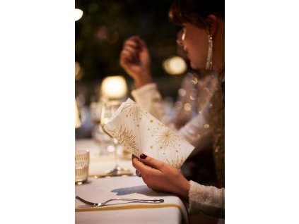 2025 DUNI Sparkly Napkin Tablecover 5353