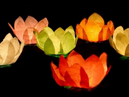 Plovoucí lampion lotosový květ mix barev 6 ks - Svatební lampiony na vodu