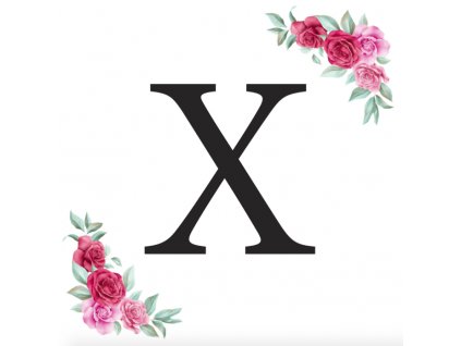 Písmeno X kartička s růžemi - písmena k sestavení jmen a nápisů