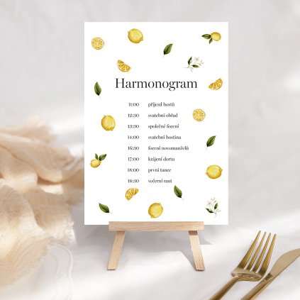 Harmonogram svatebního dne No. 11