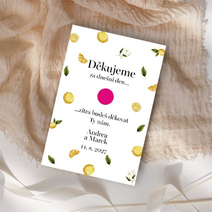 Kartička na ibalgin No. 11