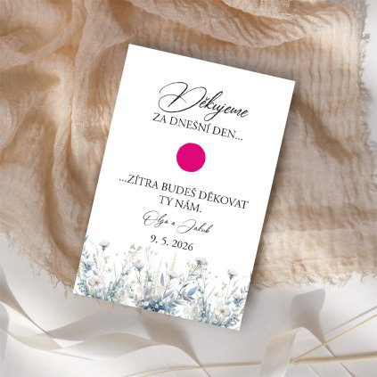 Kartička na ibalgin No. 9