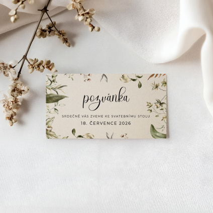 Pozvanka 005 smetana