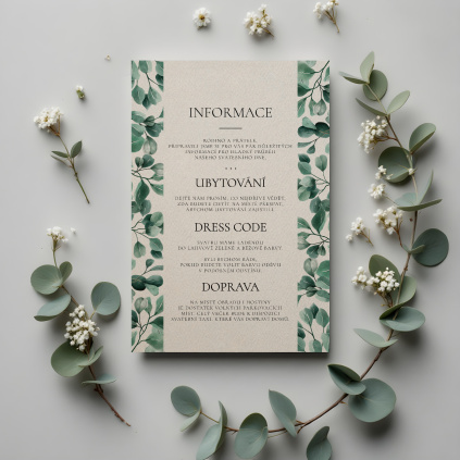 Informace 008 smetana