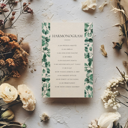 harmonogram 008 smetana