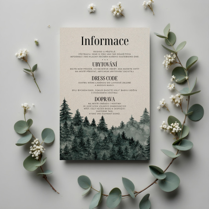 Informace 009 smetana