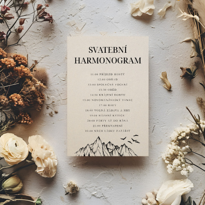 harmonogram 010 smetana