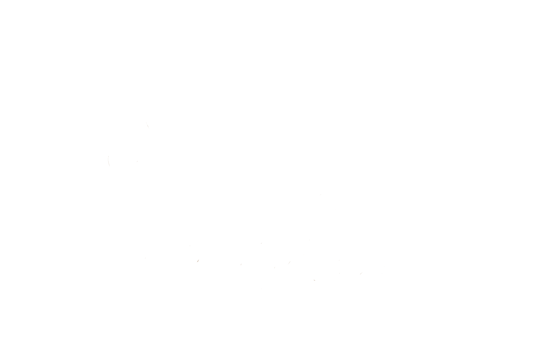 Svatby, večírky