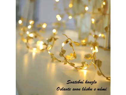 e52883d0 8638 4026 b1ec 754f1d07b244