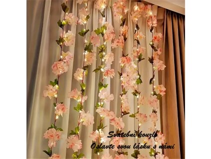 b25ccaa9 f069 46cb b1c4 102b940c8594