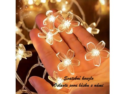 9c6d4aca 8896 446c 8b45 7117c6a0d52e